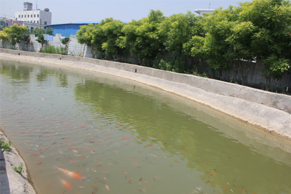 地礦駕校環(huán)境舒適、學(xué)車方便